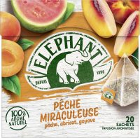 THE INFUSION A LA PECHE - ALADDIN 25 SACHET