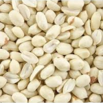 ARACHIDE CRUES BLANC